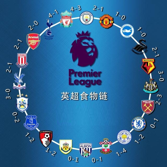 富勒姆主帅：打进了精彩的进球却被取消，这判罚令人难以置评