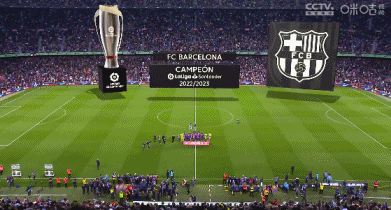 法比奥庆祝足协杯夺冠：我们是冠军，这座城市值得拥有这一刻（法比奥庆贺足协杯加冕：我们是冠军，这座城市值得这荣耀时刻）